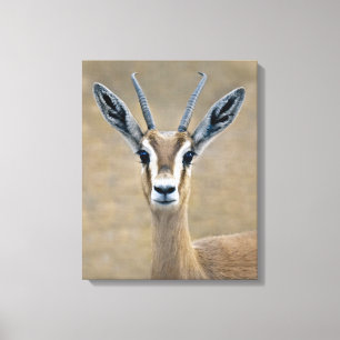 Impression sur toile d'Ariel