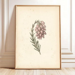 Impression sur toile d'art botanique vintage pour