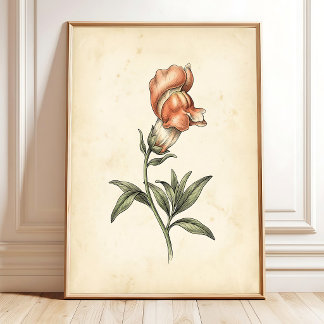 Impression sur toile d'art mural botanique vintage