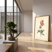 Impression sur toile d'art mural botanique vintage