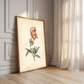 Impression sur toile d'art mural botanique vintage