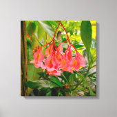 Impression sur toile de Bégonia rose dans un jardi (Recto)