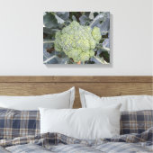 Impression sur toile de Brocoli (Insitu(Chambre))