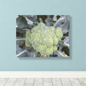 Impression sur toile de Brocoli (Insitu (Plancher de Bois))