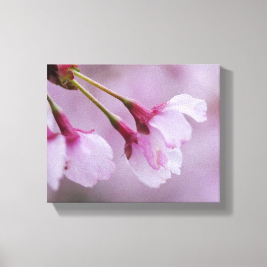 Impression sur toile de cerisier en fleurs (Recto)