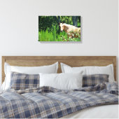 Impression sur toile de cheval Palomino (Insitu(Chambre))