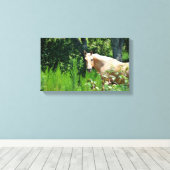 Impression sur toile de cheval Palomino (Insitu (Plancher de Bois))