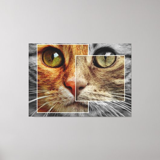 Impression sur toile de collage de visage de chat (Recto)