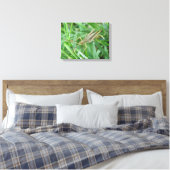 Impression sur toile de criquet (Insitu(Chambre))
