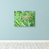 Impression sur toile de criquet (Insitu (Plancher de Bois))