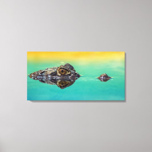Impression sur toile de crocodile sur une étendue (Recto)