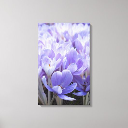 Impression sur toile de crocus enveloppé (Recto)