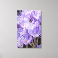 Impression sur toile de crocus enveloppé