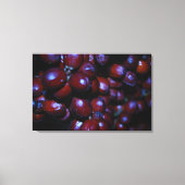 impression sur toile de détail de plante (Recto)