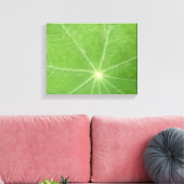 Impression sur toile de feuille de capucine (Insitu(Salon))