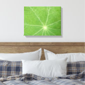 Impression sur toile de feuille de capucine (Insitu(Chambre))
