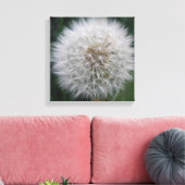 Impression sur toile de fleur de pissenlit en grai (Insitu(Salon))