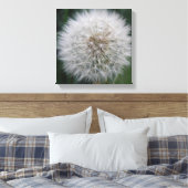 Impression sur toile de fleur de pissenlit en grai (Insitu(Chambre))
