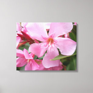 Impression sur toile de fleur d'oléandre rose Fl