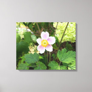Impression sur toile de fleur sauvage rose Mural
