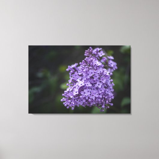 Impression sur toile de fleurs de lilas violet en (Recto)