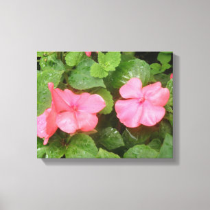 Impression sur toile de fleurs d'impatiens roses