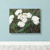 Impression sur toile de fleurs sauvages blanches (Insitu (Plancher de Bois))