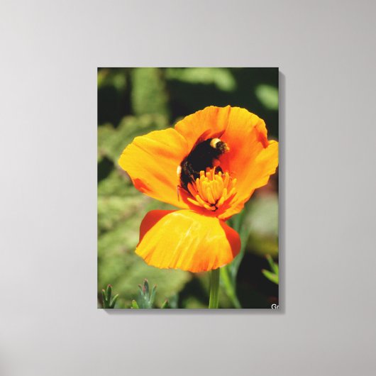 Impression sur toile de fleurs sauvages Bumble Bee (Recto)