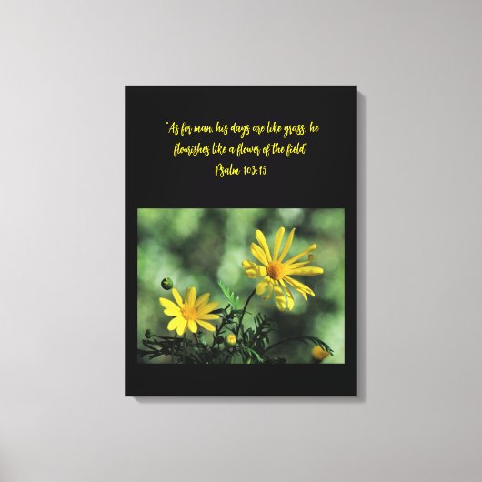 Impression sur toile de fleurs sauvages d'Aster ja (Recto)