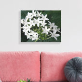 Impression sur toile de fleurs tropicales blanches (Insitu(Salon))
