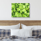 Impression sur toile de jeunes pousses de Souci (Insitu(Chambre))
