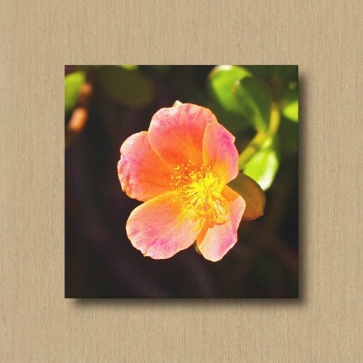 Impression sur toile de la fleur de rose de mousse