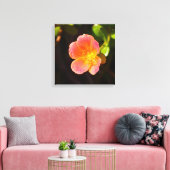 Impression sur toile de la fleur de rose de mousse (Insitu(Salon))