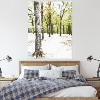 Impression sur toile de la forêt de chênes dans un