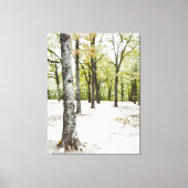 Impression sur toile de la forêt de chênes dans un (Recto)