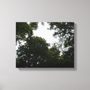 Impression sur toile de la forêt inquiétante