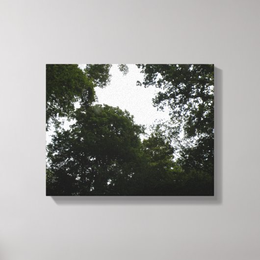 Impression sur toile de la forêt inquiétante (Recto)