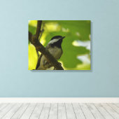 IMPRESSION SUR TOILE DE LA MÉSANGE À TÊTE NOIRE (Insitu (Plancher de Bois))