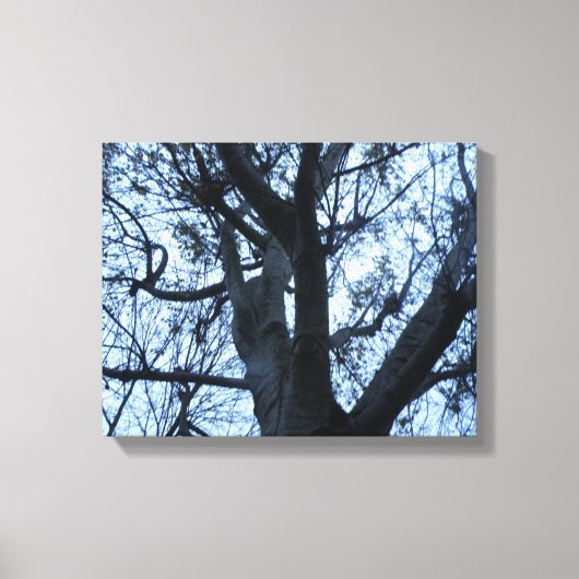 Impression sur toile de la silhouette d'arbre (Recto)