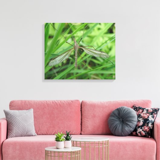 Impression sur toile de la tipule (Insitu(Salon))
