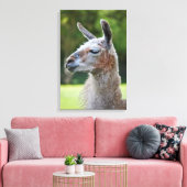 Impression sur toile de lama enveloppé (Insitu(Salon))