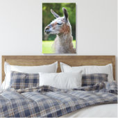 Impression sur toile de lama enveloppé (Insitu(Chambre))