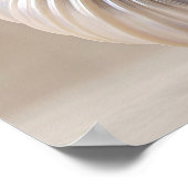 Impression sur toile de luxe Coquille Spirale Opal (Coin)