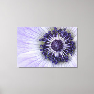 Impression sur toile de macro fleur d'anémone viol