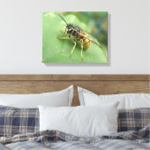 Impression sur toile de Macro Guêpe-Charpente (Insitu(Chambre))