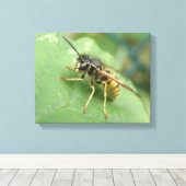 Impression sur toile de Macro Guêpe-Charpente (Insitu (Plancher de Bois))