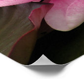Impression sur toile de Nénuphar (Coin)
