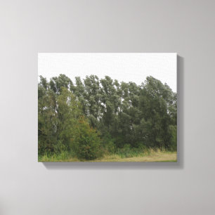 Impression sur toile de paysage de rangée d'arbres