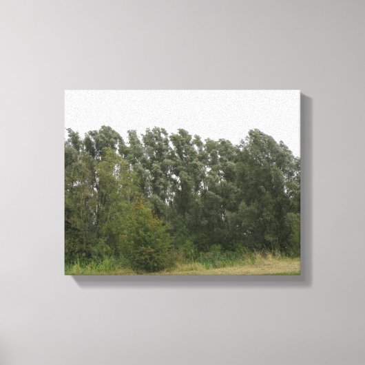 Impression sur toile de paysage de rangée d'arbres (Recto)