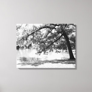 Impression sur toile de paysage en noir et blanc